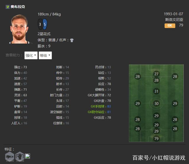 梦幻西游练宝宝攻略：高效培养心仪宠物